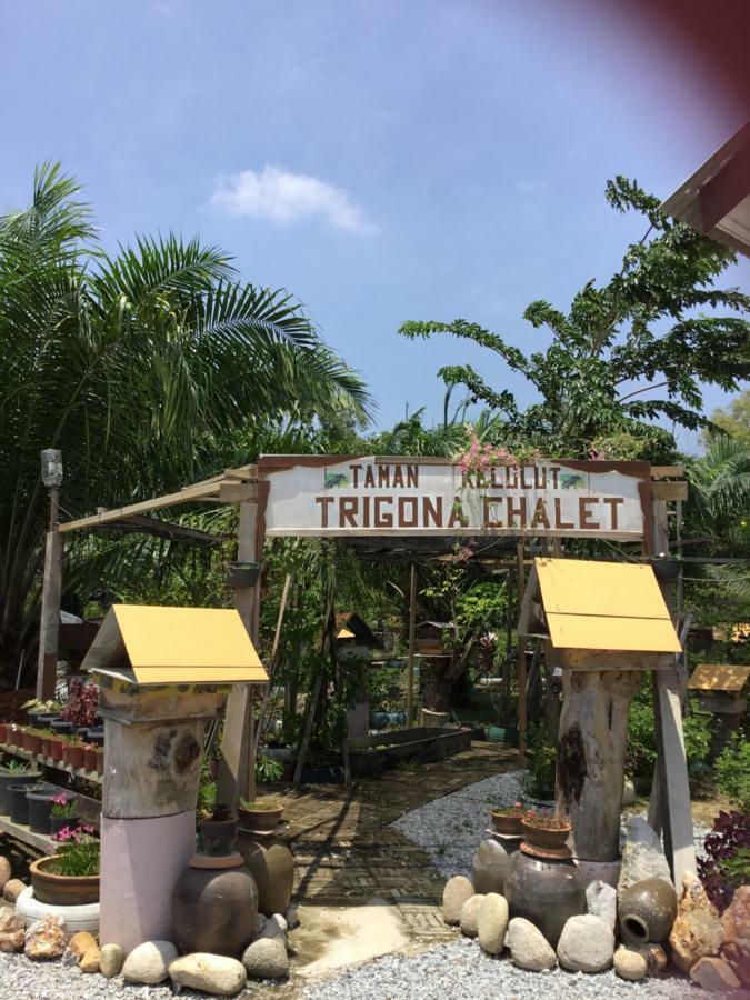 מלון מראנג Trigona Chalet מראה חיצוני תמונה